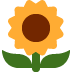 :sunflower: