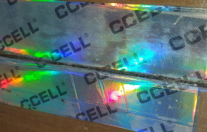 ccell hologram 1