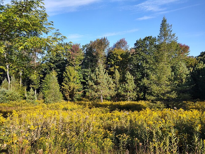 IMG_20200920_082445860_HDR