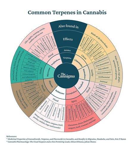 Common Terpenes in Cannabis