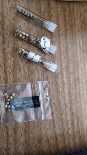 IMG-20191224-WA0002