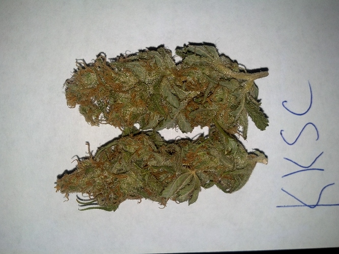 2013-09-23_13-47-37_615