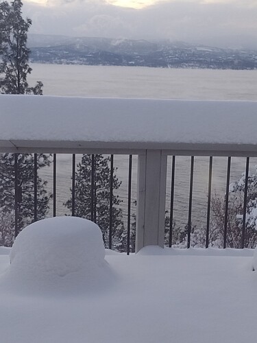 IMG_20221221_164801860