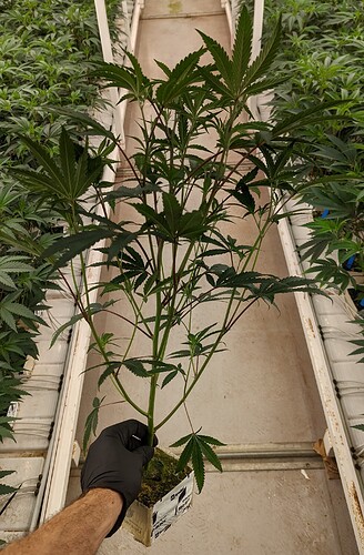 PXL_20221114_220855788~2