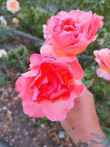 0804212012_HDR