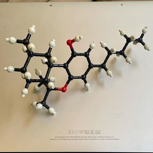 dr_t_phd_20210725_164047_0