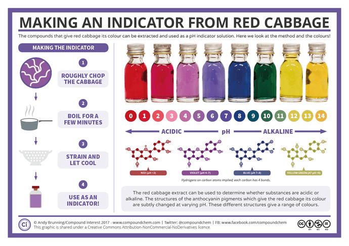 Making-a-Red-Cabbage-pH-Indicator