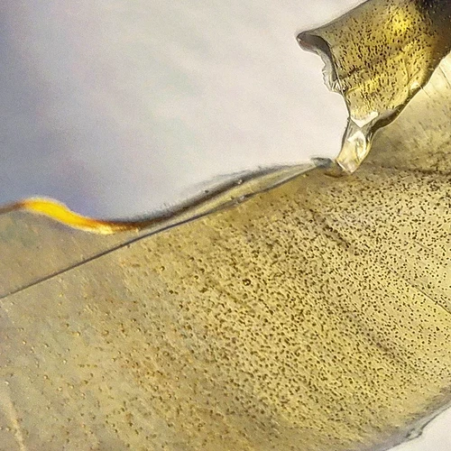 IMG_20220409_134938_097