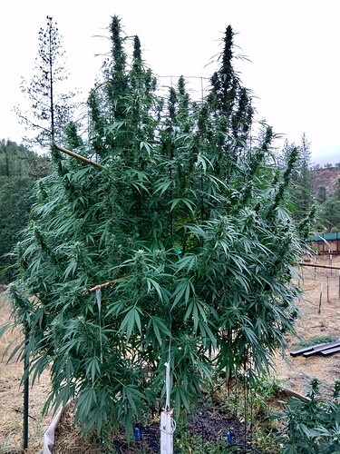 KIMG0074