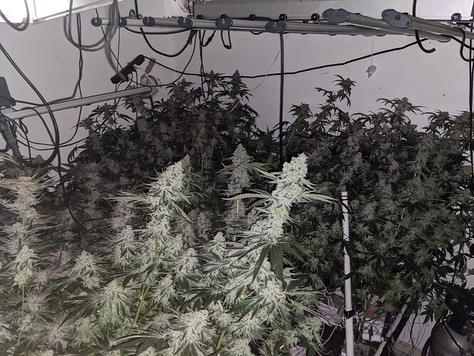 PXL_20210512_040331606