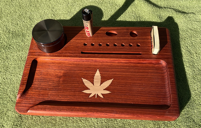 Tray 10a