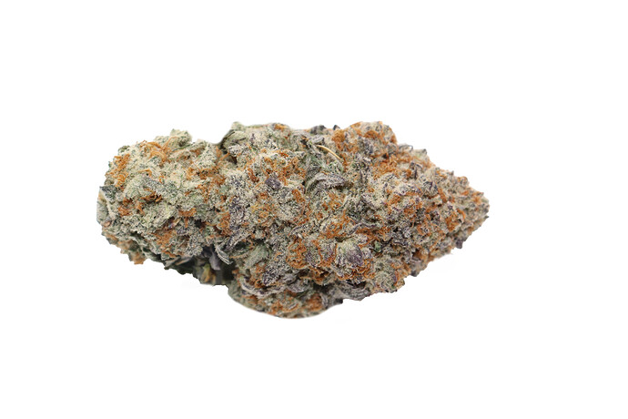 Sero'Q_Bud