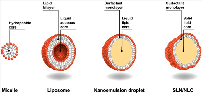 Comparison-between-micelles-liposomes-nanoemulsions-and-solid-lipid-nanoparticles