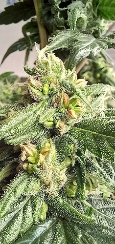 20221226_182814_resized