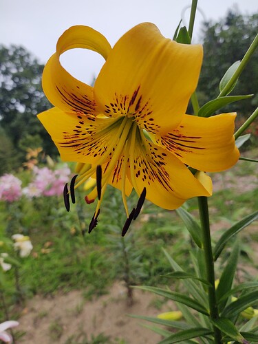 IMG_20210807_172132856