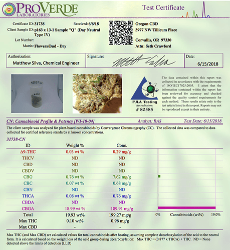 ProVerde%20p163%20x%2013-1%20Q