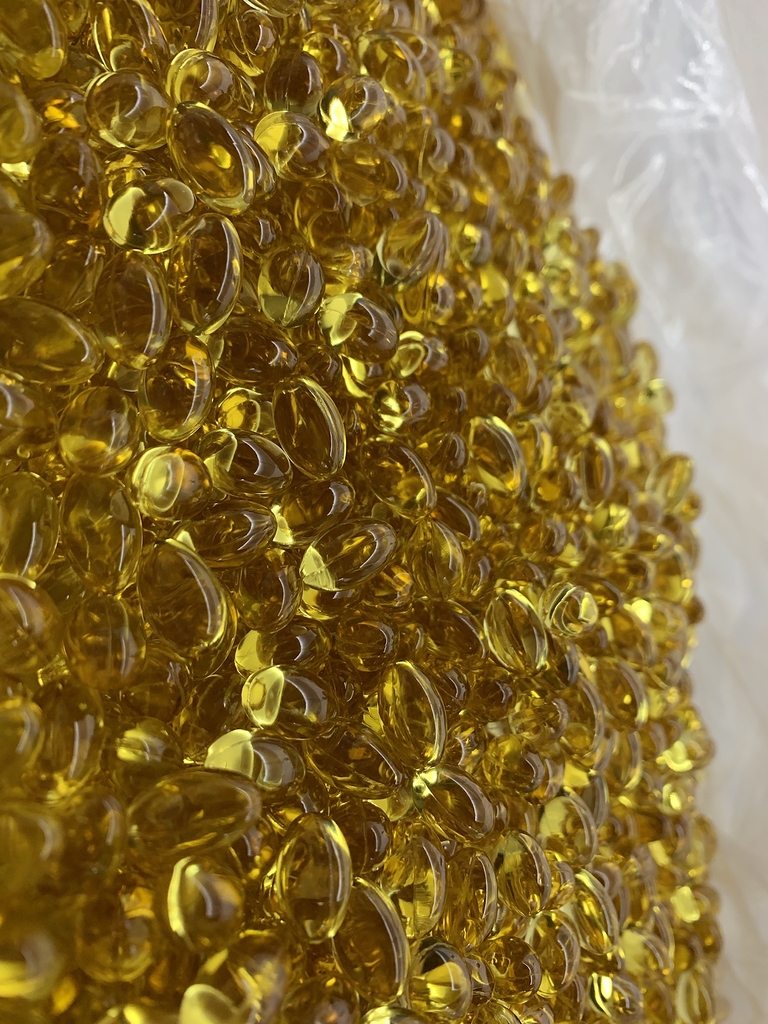 Your personal GMP Gelcap manufacture. THE SOURCE GMP Future4200