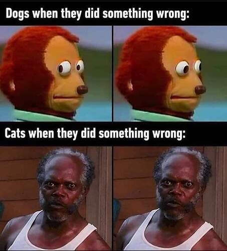 FB_IMG_1691819551370