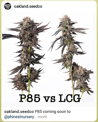 IMG_20250927_114911_544~2