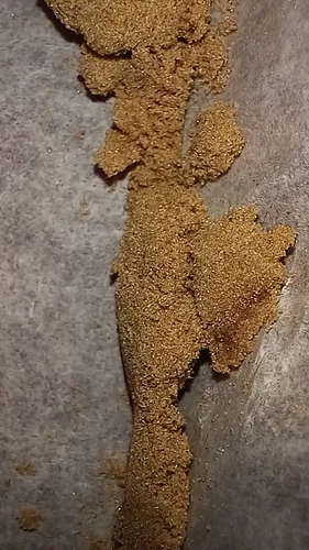 IMG_20230529_070927_938