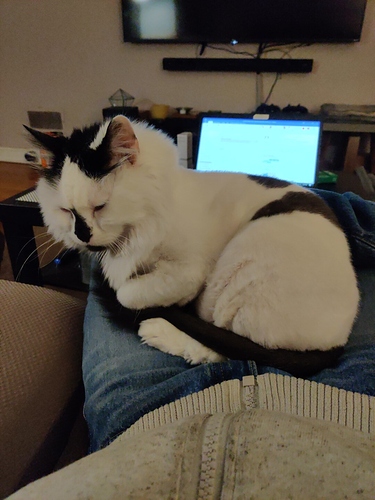 IMG_20200313_093001_01