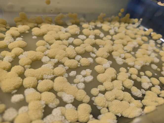 WhatsApp Image 2024-10-27 at 21.04.57_b5a11652