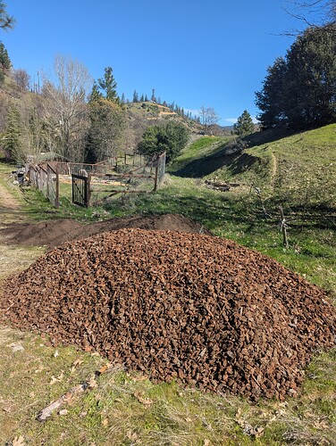 PXL_20260321_184953363