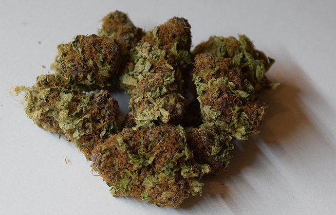 gelato