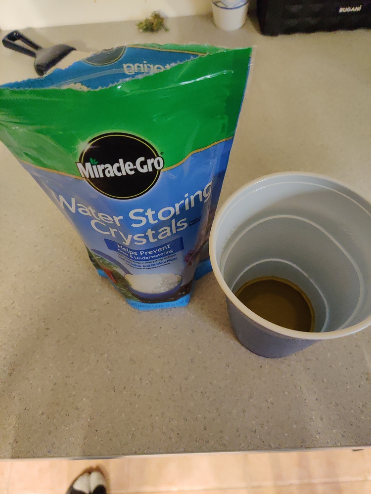 Orbeez use in the lab - Pre/Post-Processing - Future4200