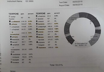 CO2 Terpene Test Result