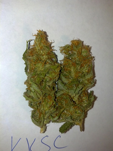 2013-09-23_13-48-20_262