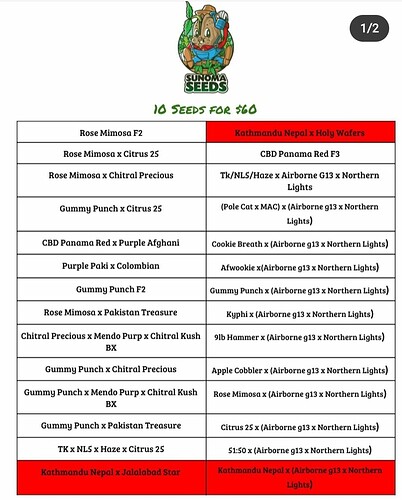 Screenshot_20210111-171853_Instagram