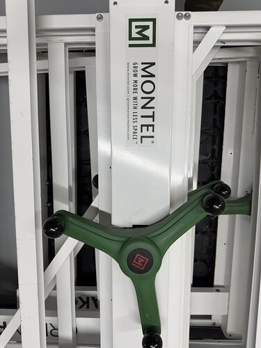 montel-5