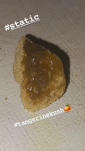 IMG_20230528_044439_283