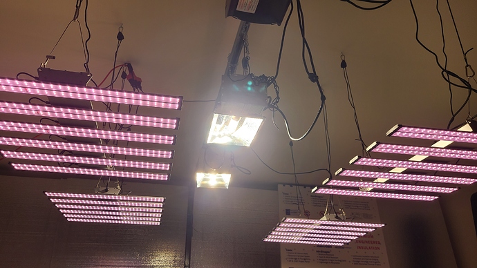 16076654282862188386713696900776