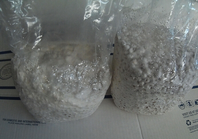 msbags