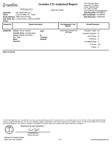 Cherry Fem Report