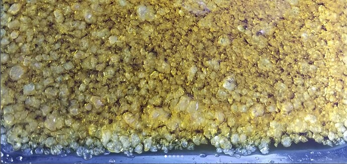 THCa BHO live resin xtal pan tight