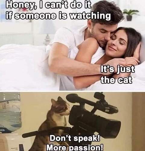 FB_IMG_1689365120425