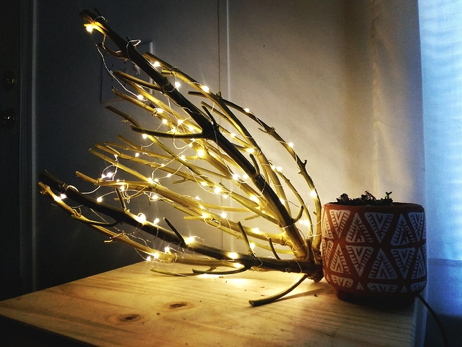 1569784466667450639650927712109