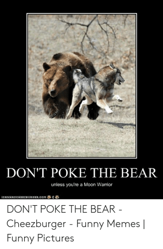 dont-poke-the-bear-unless-youre-a-moon-warrior-ichnhaschee2eurger-54339357