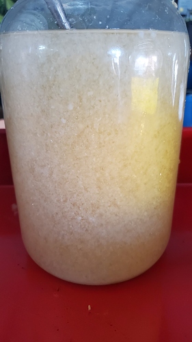 15958086096793518513284645389674