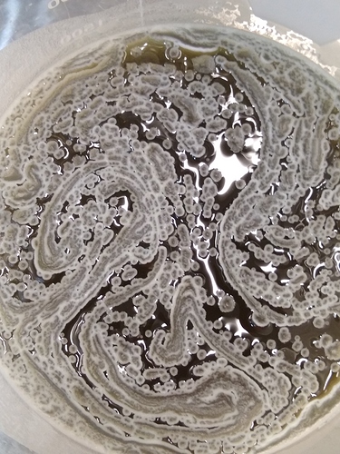 IMG_20200311_165942498