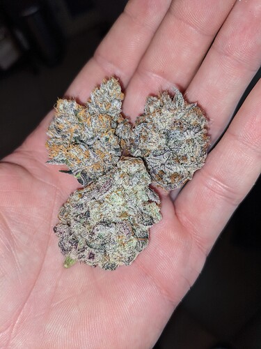 PXL_20210601_145948520