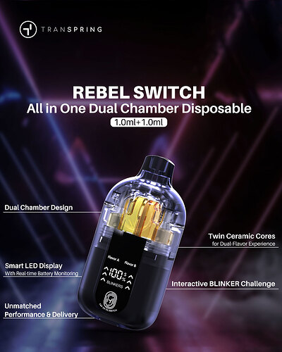 REBEL SWITCH (1)