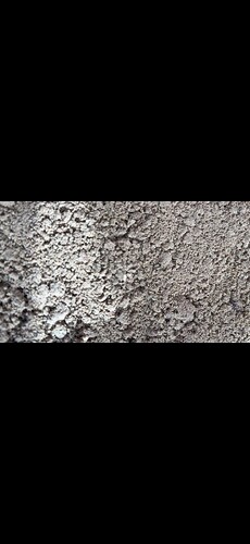 IMG_5697