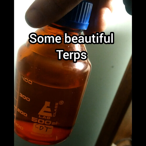 InShot_20230207_224426344