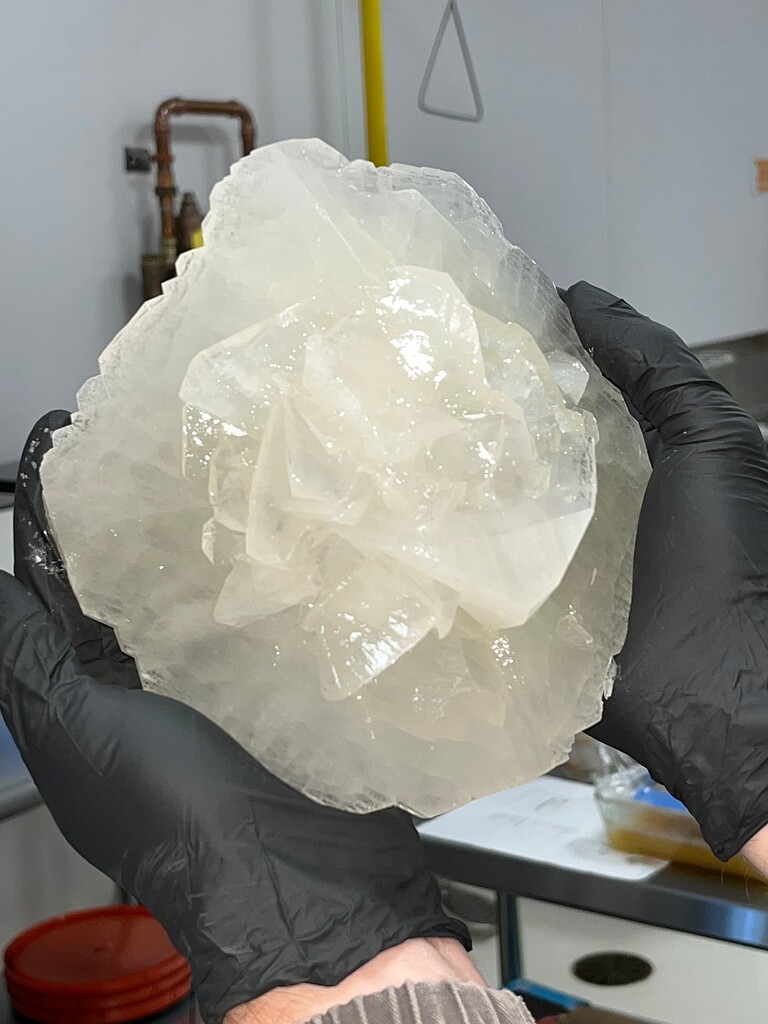 OUTLET SALE- 訳あり品など大放出 ever? diamond THCa Biggest - Future4200 - Goods Your Off Show リラクゼーショングッズ