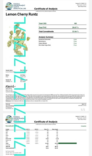 7LEAF COA THCA FLOWER LEMON CHERRY RUNTZ