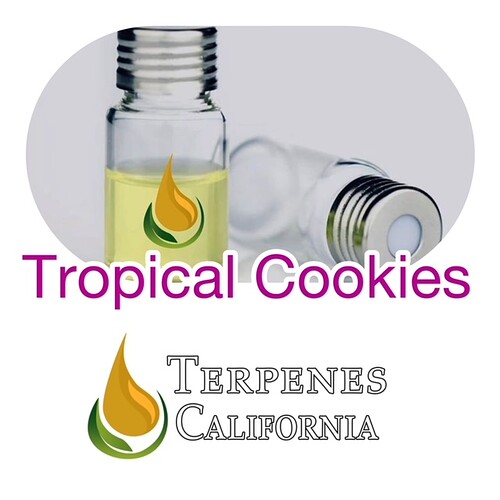 tropical cookies